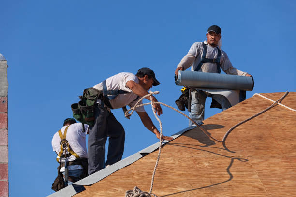 Best Roof Gutter Cleaning  in Sixteen Mile Stand, OH